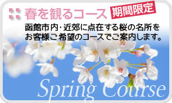 【春を観るコース】函館市内・近郊に点在する桜の名所をお客様のご希望のコースでご案内いたします。
